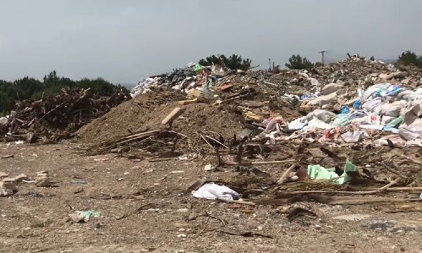 Gaziemir'de skandal görüntüler... Çevre katliamı tepkisi!